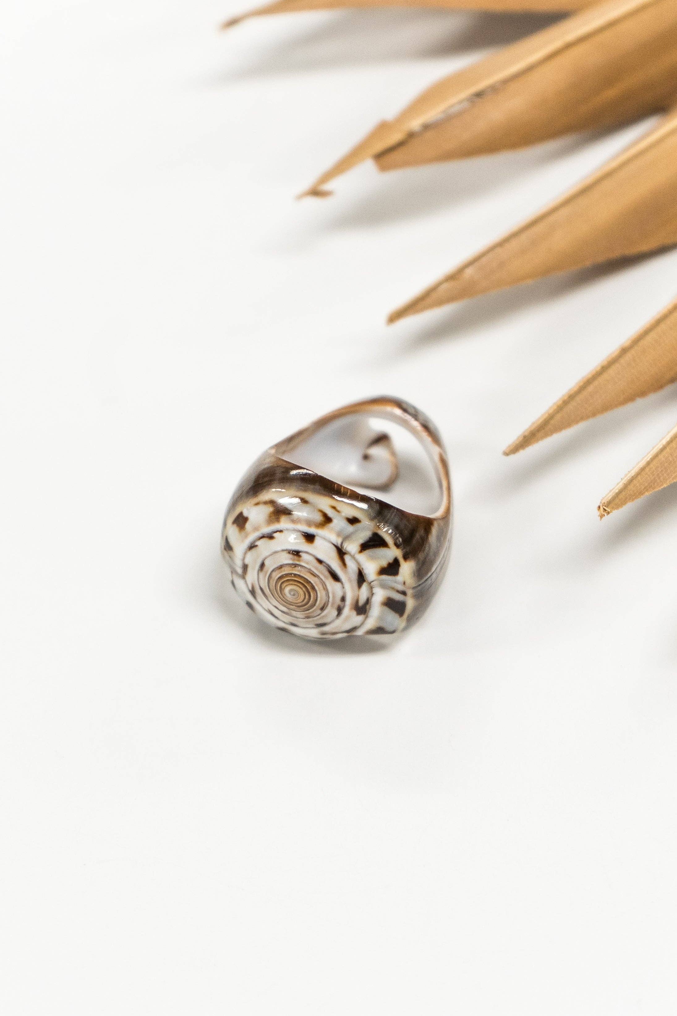 Bali Shell Rings
