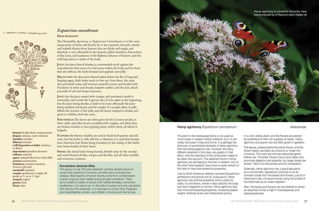 Herbalist's Bible by Julie Bruton-Seal