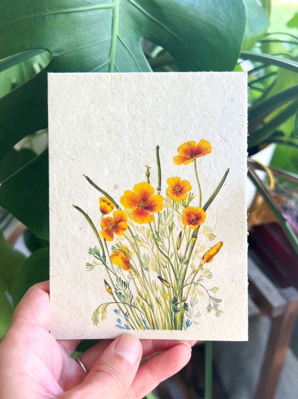 Botanical Art Plantable Greeting Card MVW8 on handmade seed paper — Mary Vaux Walcott watercolor floral design