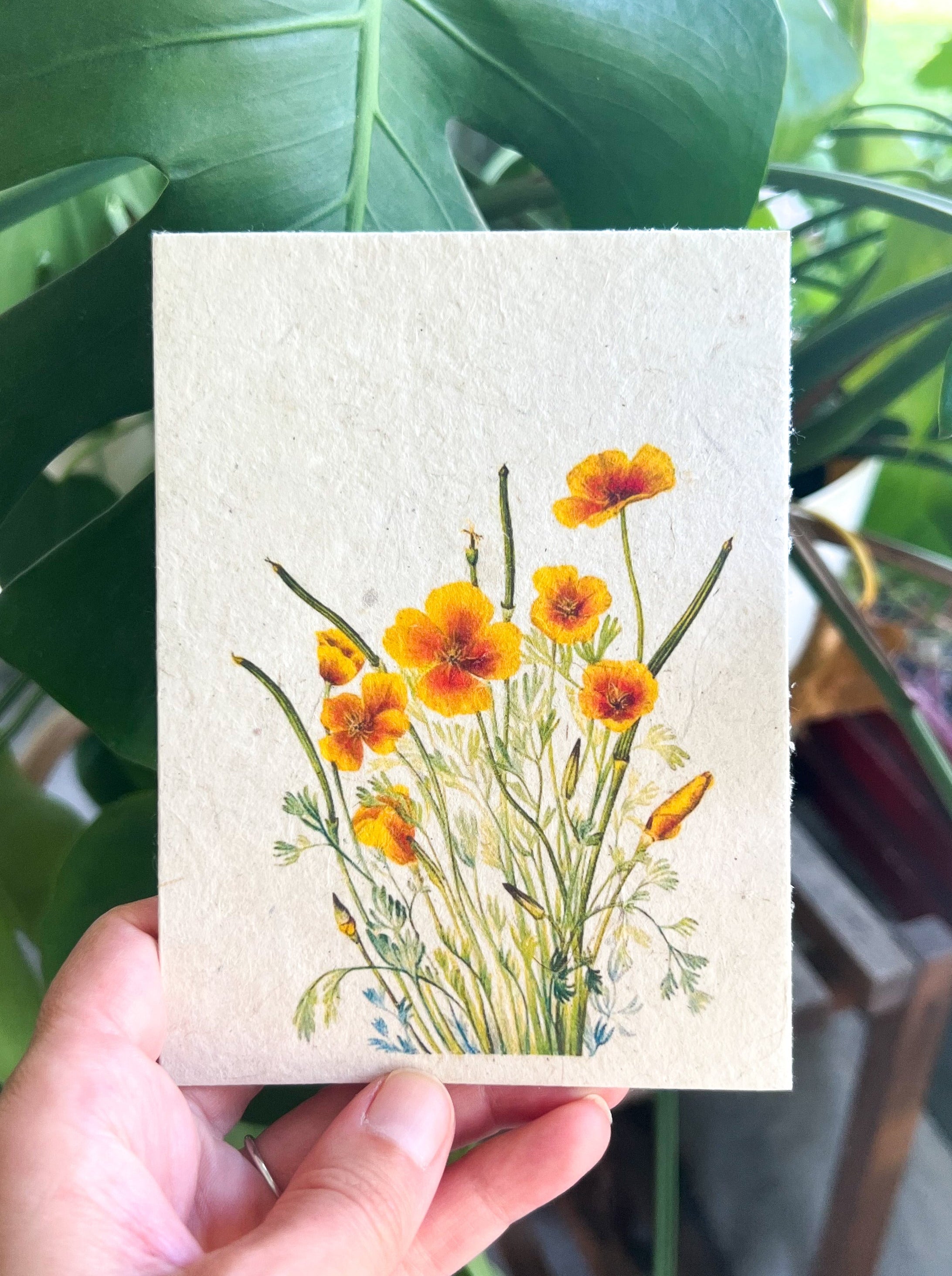 Botanical Art Plantable Greeting Card MVW8 on handmade seed paper — Mary Vaux Walcott watercolor floral design