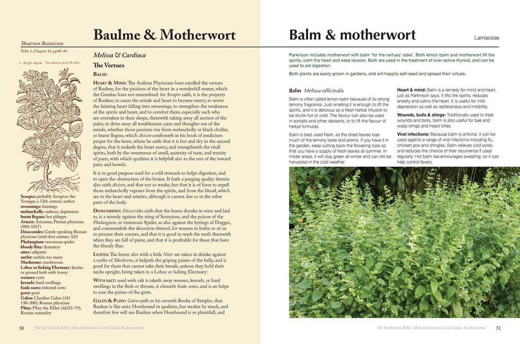Herbalist's Bible by Julie Bruton-Seal