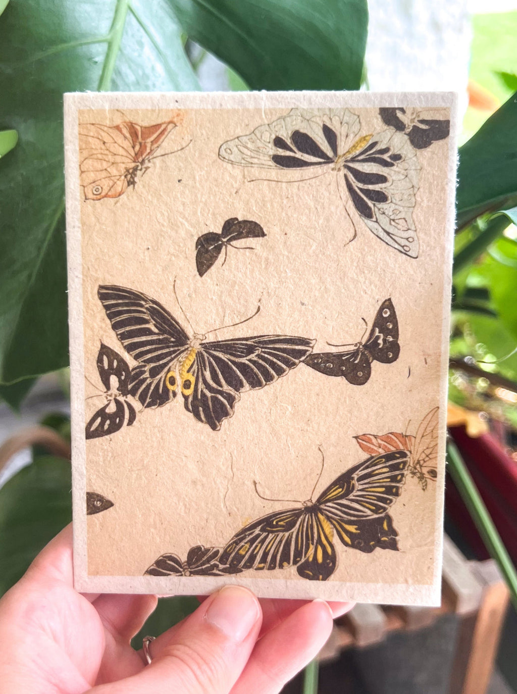 Japanese Art Plantable Greeting Card J48 on handmade seed paper — Furuya Kōrin Meiji-era woodblock design