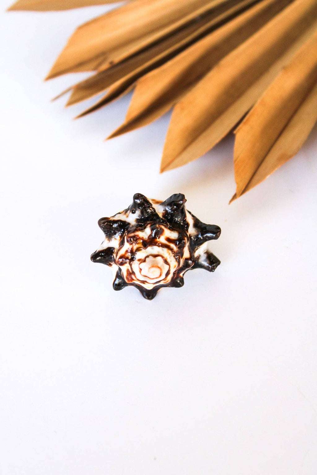 Bali Shell Rings