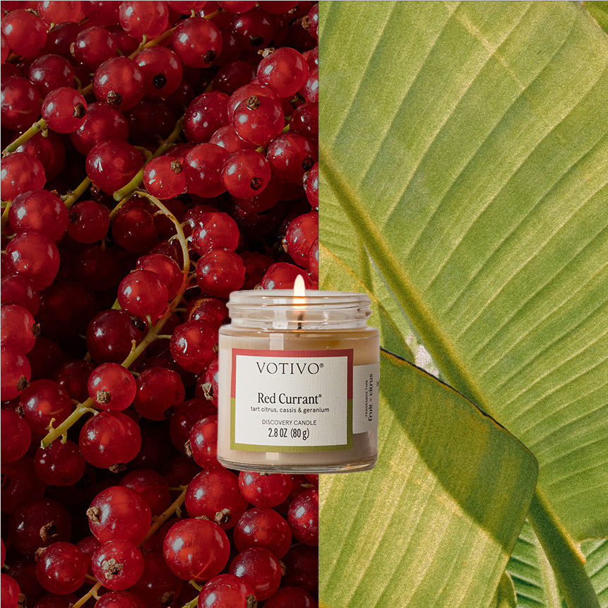 Votivo Red Currant Discovery Candle, 2.8 oz, against a vibrant backdrop of fresh red currants and a green leaf.